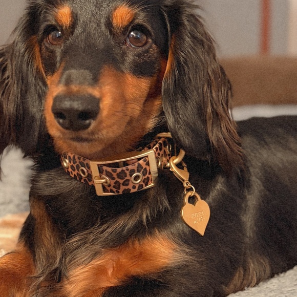 Wander! Multiway Waterproof Leash Leopard NEW - Picture 3 of 4